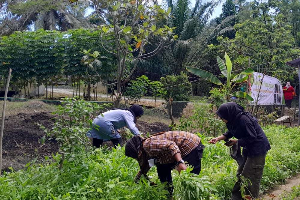  Desa Kebun Kelapa di Langkat Bakal Jadi Destinasi Wisata