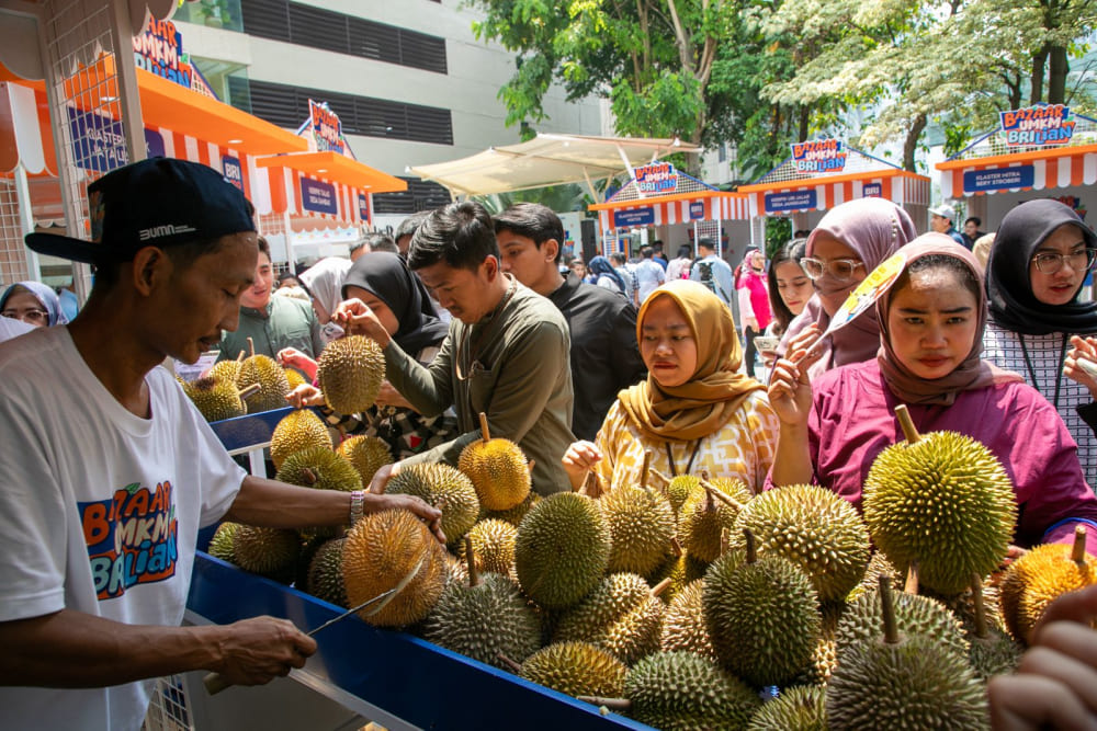  Pemberdayaan BRI, Petani Durian Pekalongan Semakin Maju