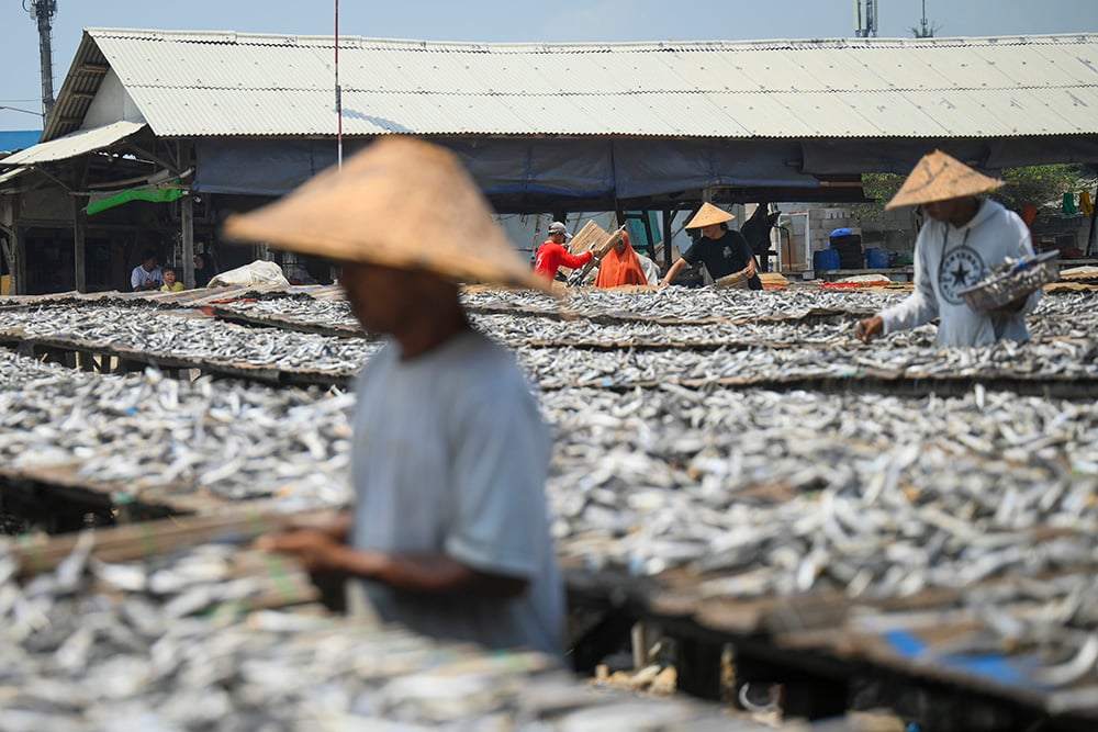  Produksi Ikan Asin Di Muara Angke Menurun