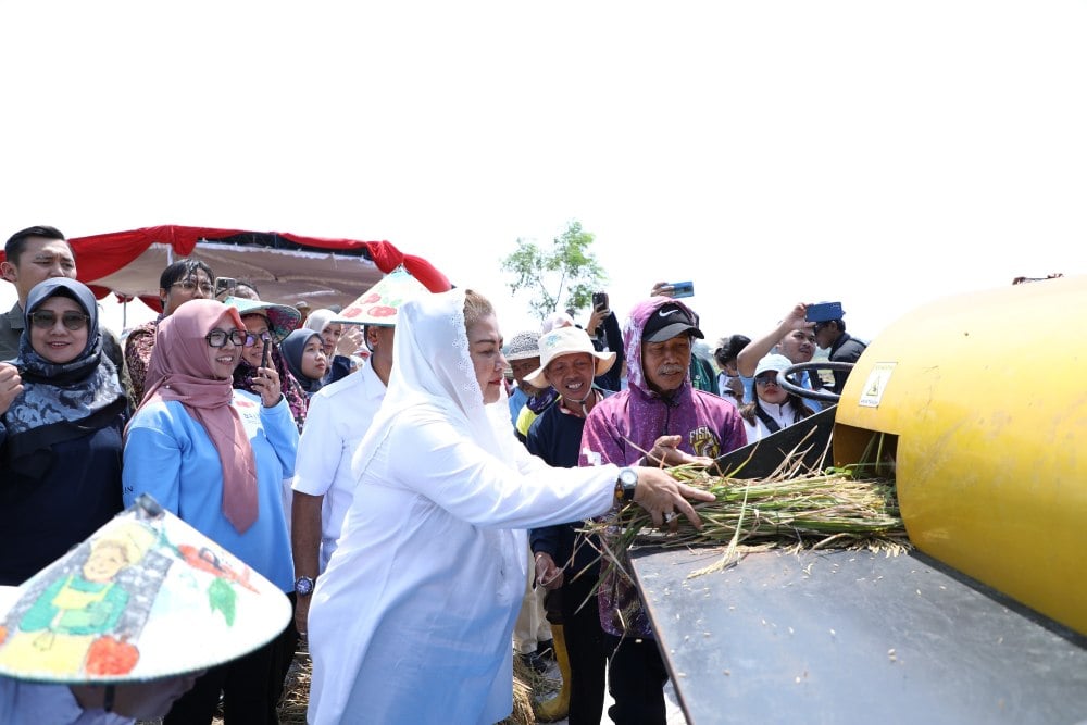  Pemkot Semarang Dorong Budidaya Padi Biosalin