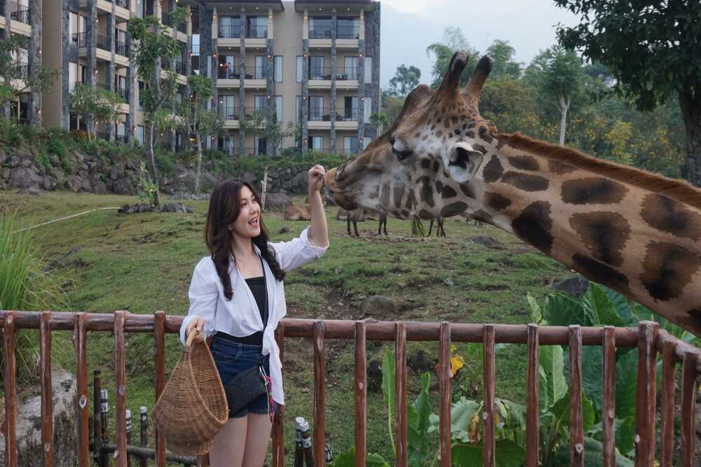  Sensasi Menginap di Hotel Baobab Serasa di Alam Liar