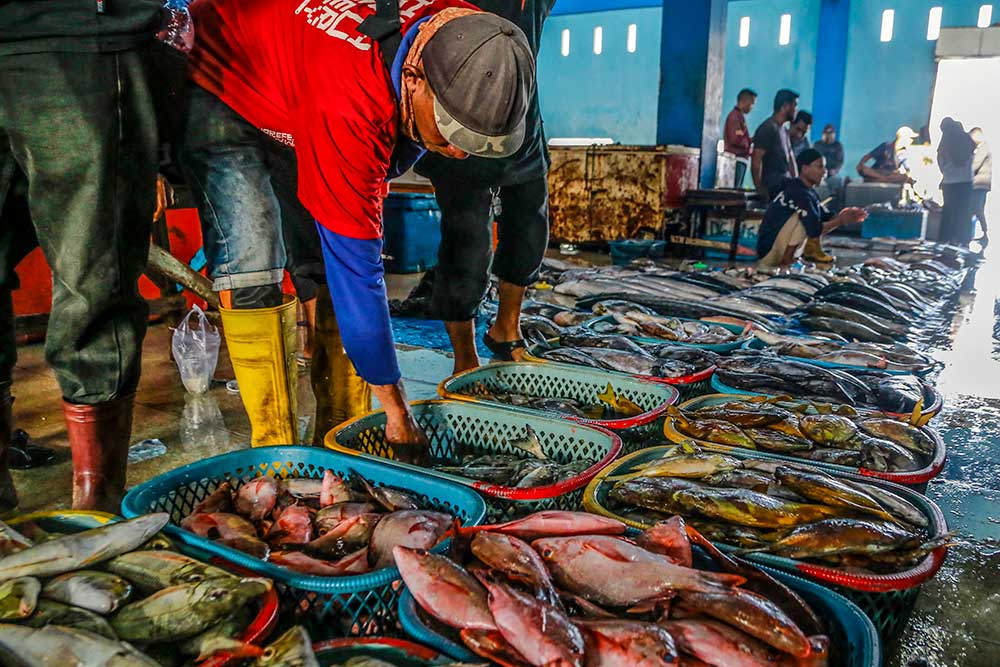  KKP Perluas Jaringan Pasar Produk Perikanan Indonesia ke Negara Eropa