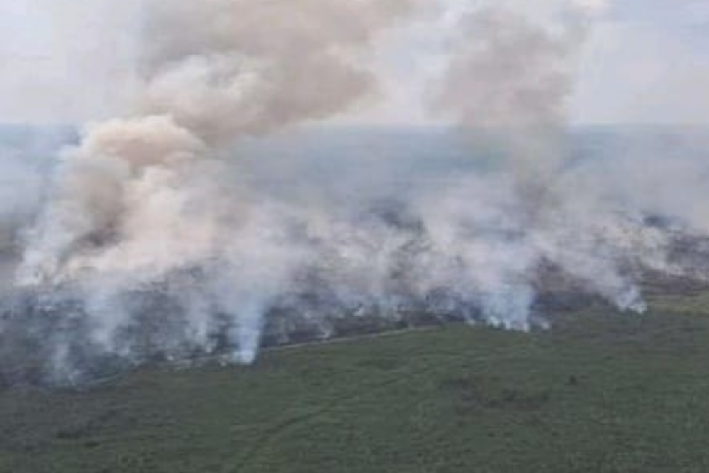  Suhu Panas Karhutla Wilayah Sumsel Tersebar di 4 Kabupaten