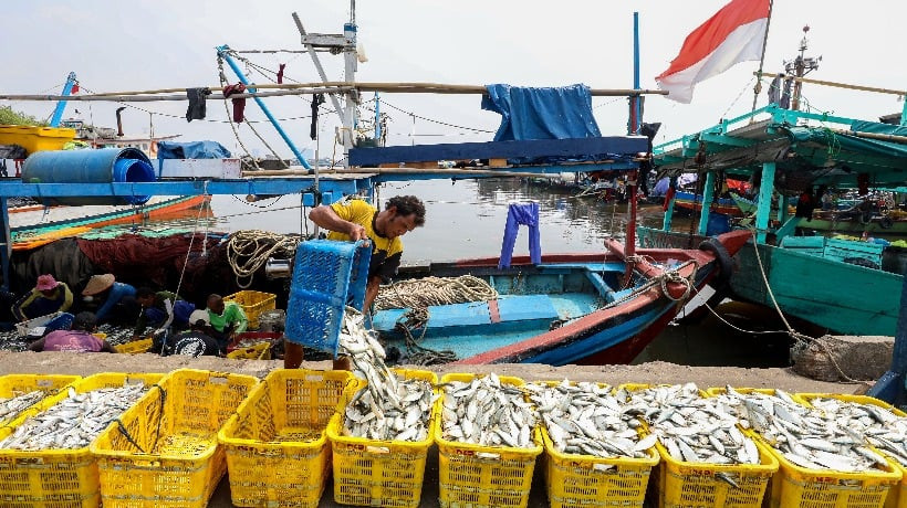  Reserve Funds Strained by Fishermen and Farmers’ Debt Relief