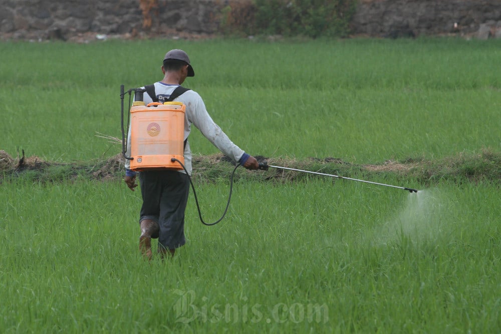  Kementan Rilis Kredit Usaha Alsintan dengan Bunga 3%, Disubsidi Pemerintah