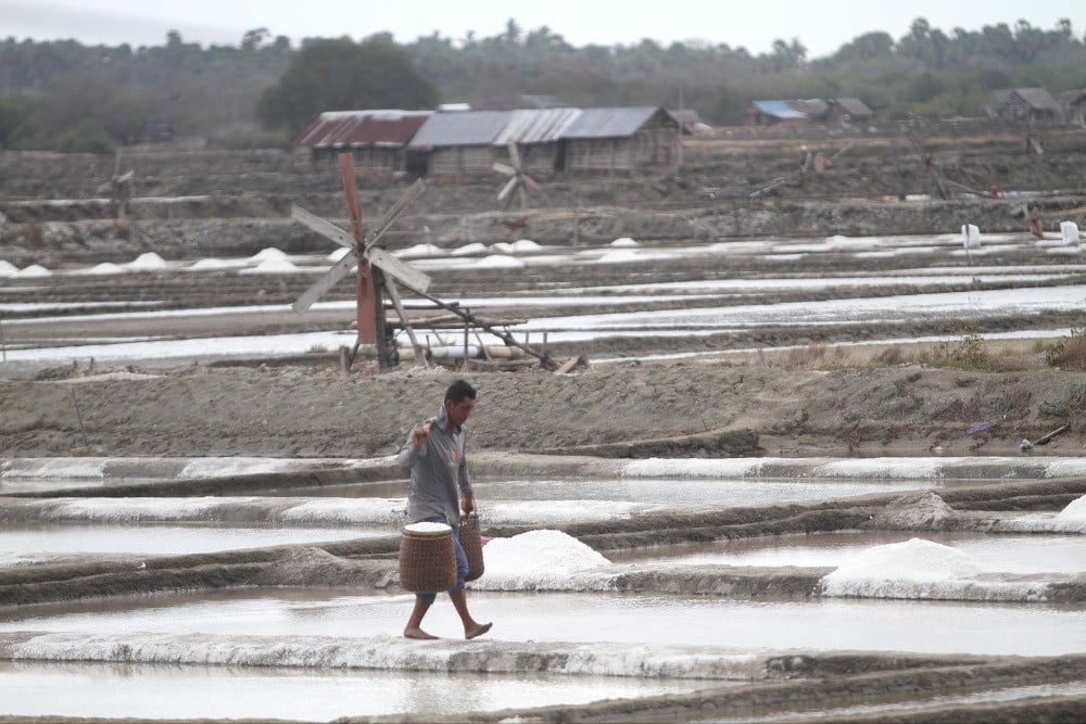  Produksi Garam Dalam Negeri Saat Ini Mencapai 1,9 Juta Ton