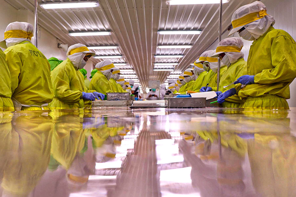  Industri Makanan Minuman Dapat Kucuran Insentif Mesin Rp35 Miliar Tahun Depan