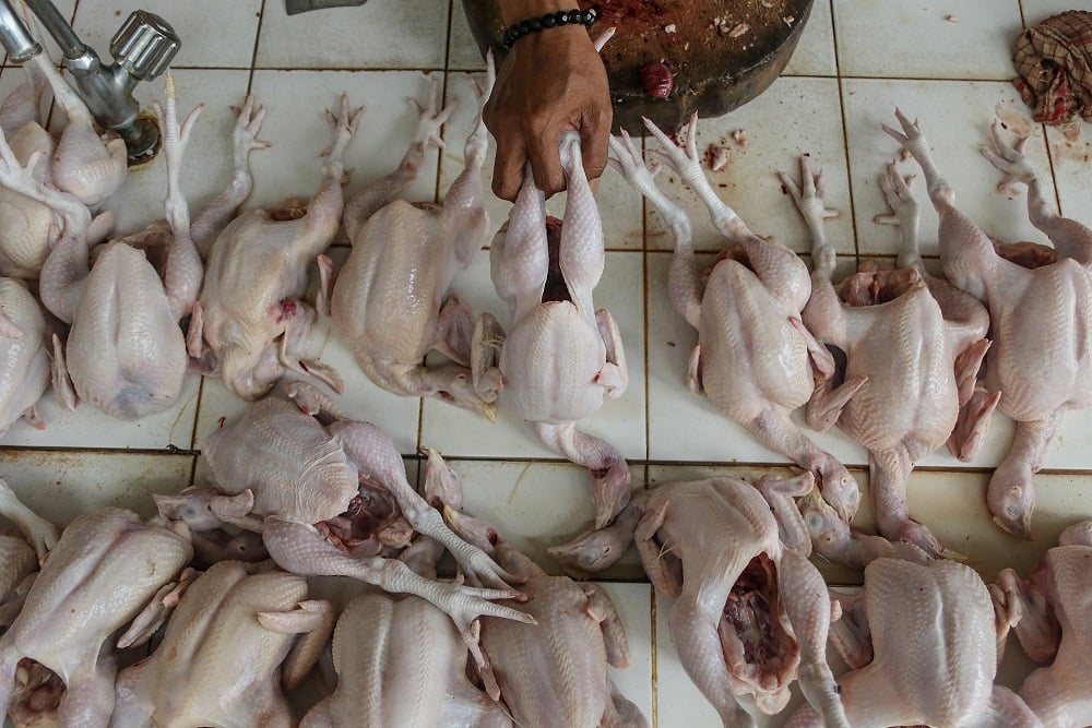  Daging Ayam dan Bawang Merah Picu Inflasi di Kota Cirebon