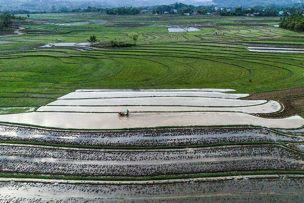  BPS Mencatat Nilai Tukar Petani Provinsi Sulawesi Selatan Pada Oktober Meningkat 0,27%