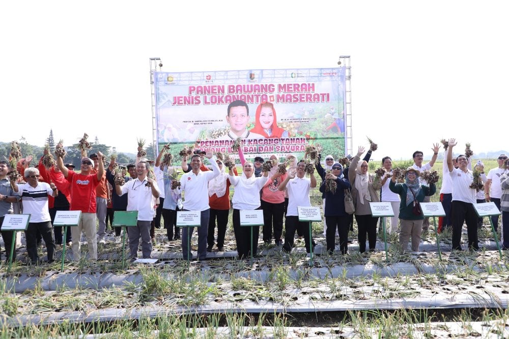  Pemkot Semarang Kembangkan Bawang Merah Lokananta dan Maserati