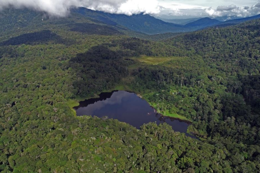 COP29: Prabowo Janji Reboisasi 12,7 Juta Hektare Hutan RI. Ilustrasi hutan di Indonesia / KLHK
