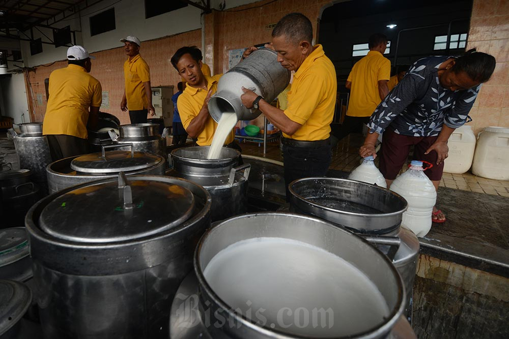  Peternak Sapi Perah Didorong Miliki Pabrik Pengelolaan Susu