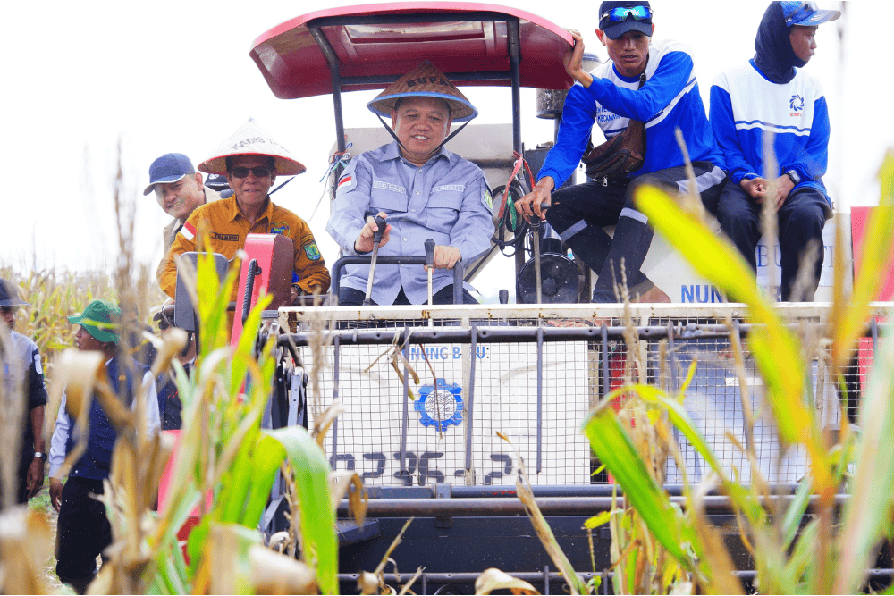  Pj. Bupati Muba Panen Raya Jagung di Kecamatan Lalan