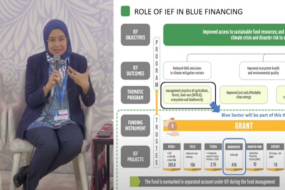  COP29: RI Bakal Rilis Coral Bond Pembiayaan Ekonomi Biru Maret 2025
