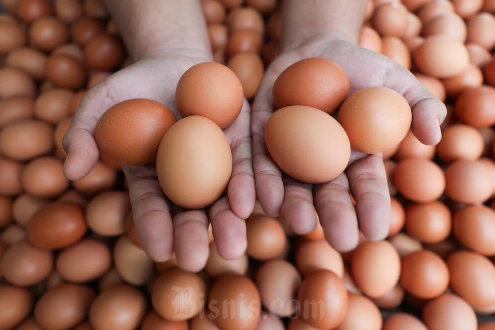  Harga Pangan Sepekan: Telur, Beras, hingga Daging Ayam Naik