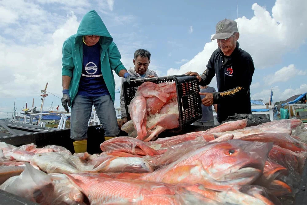  Penyaluran Kredit di Sulsel Rp163,29 Triliun per September 2024, Tumbuh 6,9%