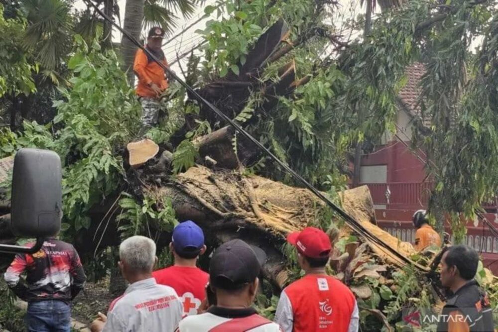  Titik Rawan Bencana Hidrometeorologi di Malang