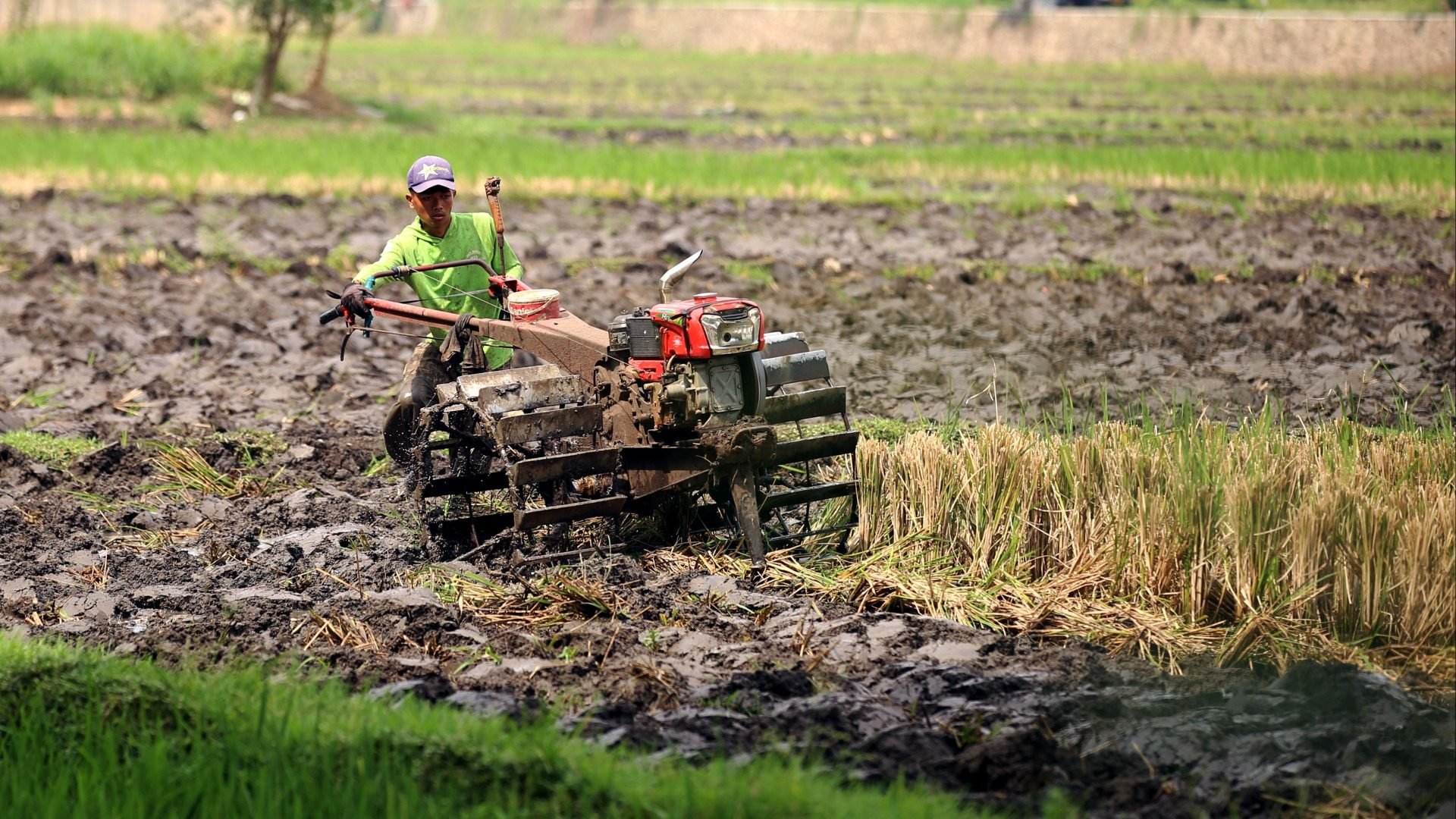  Historia Bisnis: Susul Konglomerat lain, Prajogo dan Sukanto Siap Cetak Sawah Baru