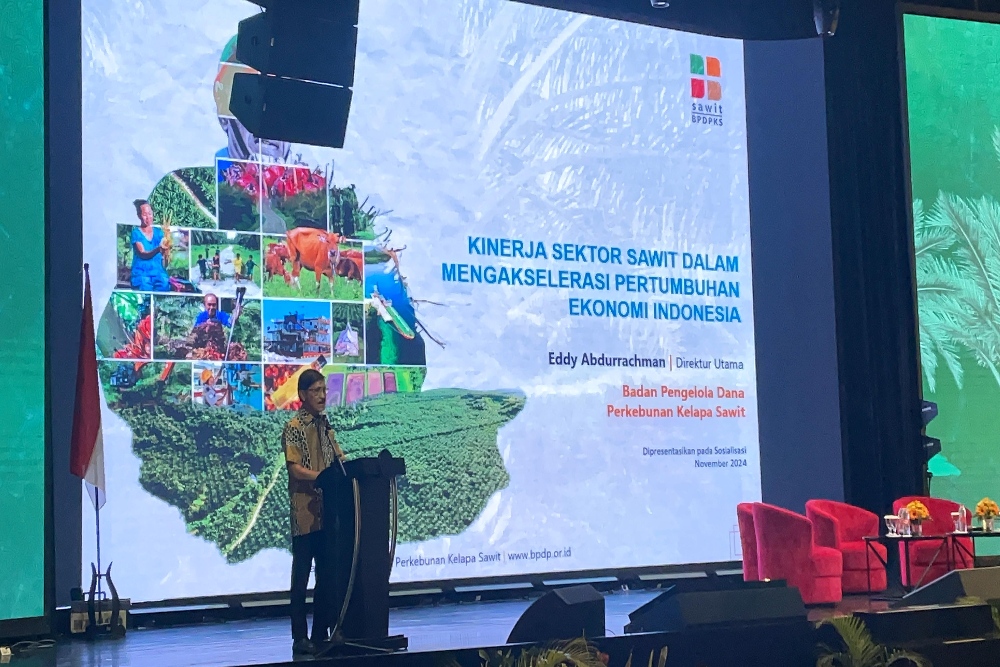  Bos BPDPKS Akui Produk Turunan Sawit RI Kalah dari Malaysia