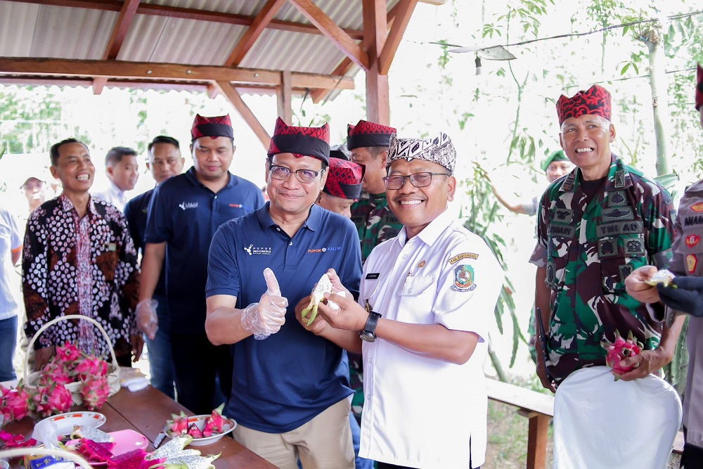  Pupuk Kaltim Dorong Produktivitas Buah Naga di Banyuwangi