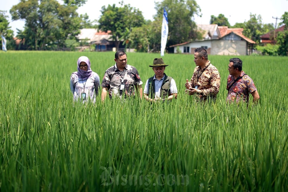  Bank BJB Salurkan Pinjaman Untuk Perkembangan UMKM