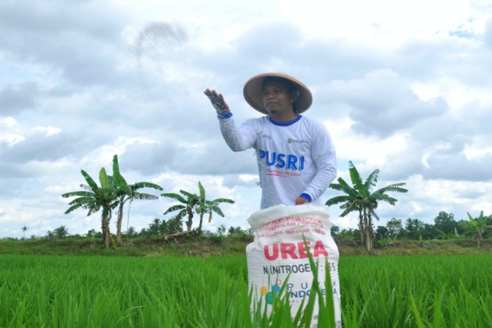  Program Petani Milenial Disebut Belum Sentuh Masalah Krusial Pertanian