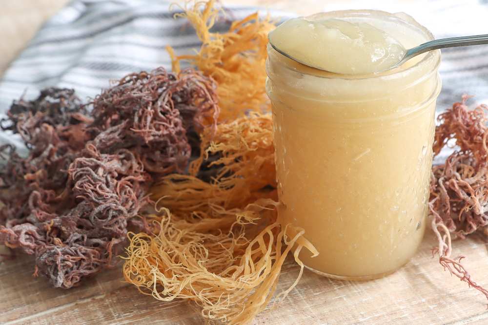  Sea Moss Gel, Makanan yang Ramai Dikonsumsi Para Influencer