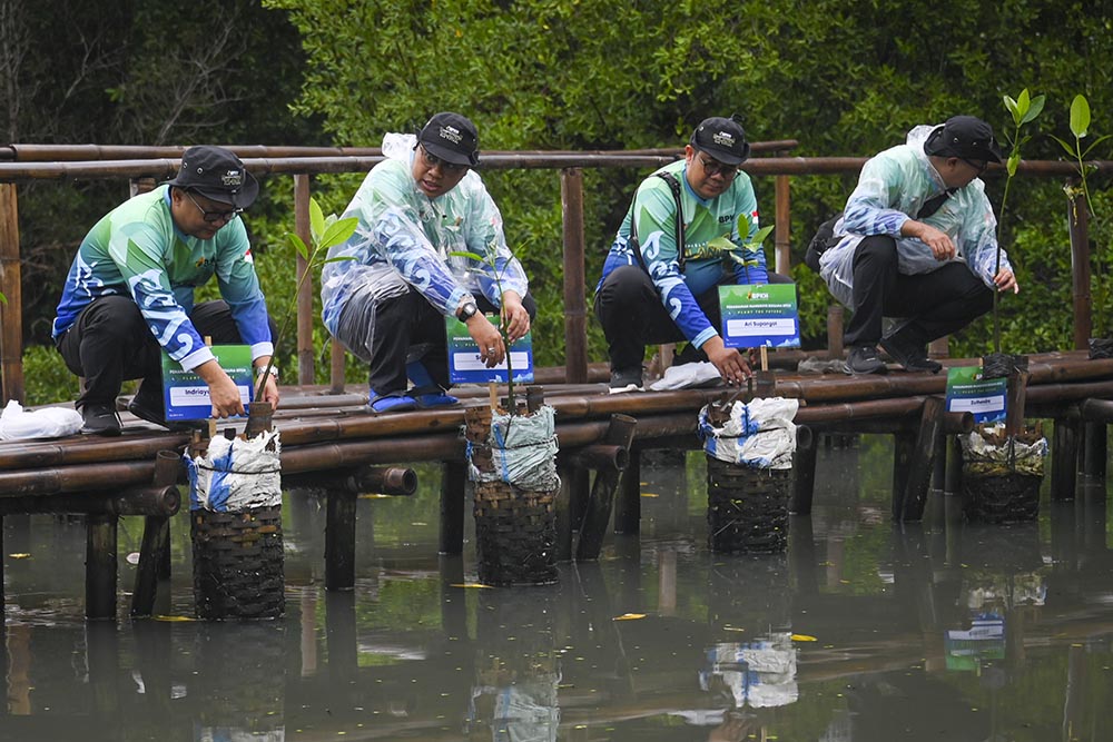  BPKH Tanam Mangrove Di Pesisir Jakarta