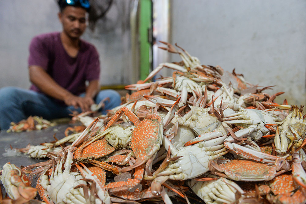  Peningkatan Kualitas Produksi Perikanan Nasional