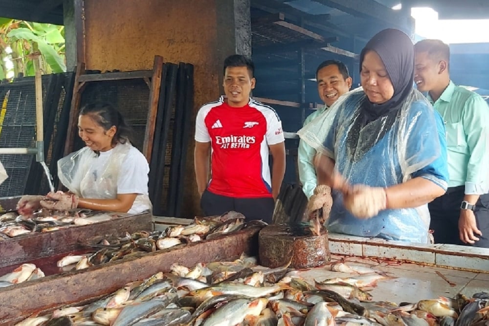  Didukung Jalan Tol, Kampung Patin Kampar Didorong Jadi Destinasi Wisata Kuliner dan Budaya