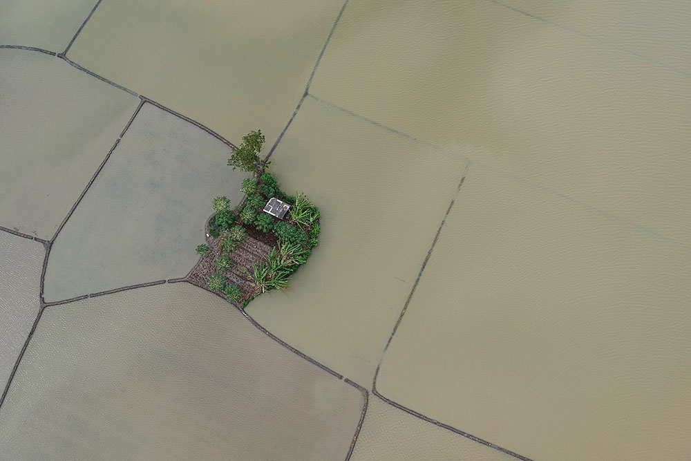  Ribuan Hektare Sawah Terendam Banjir Di Banten