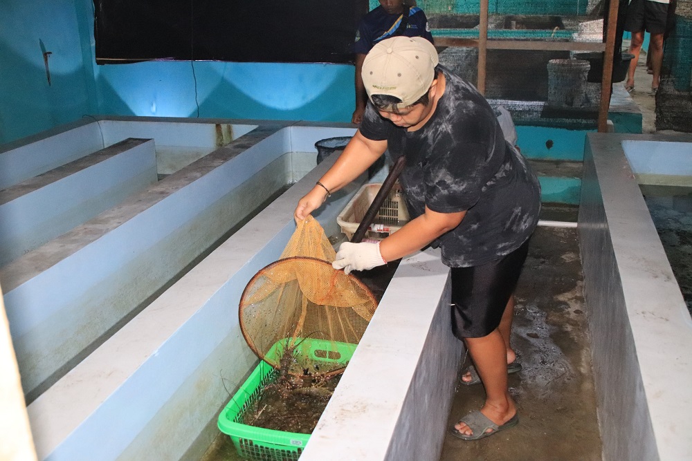  Pusat Bakal Bangun 20.000 Hektare Tambak Ikan di Jabar Mulai 2025