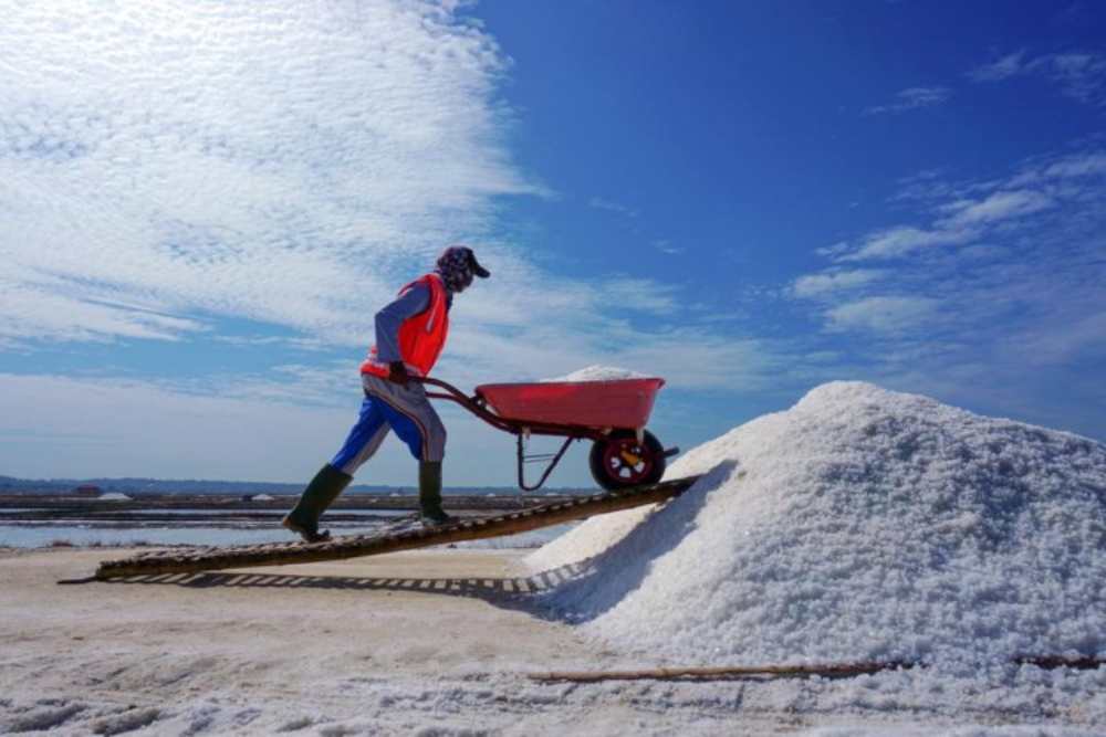 Pekerja tampak beraktivitas di sentra produksi PT Garam (Persero) /Dok. PT Garam