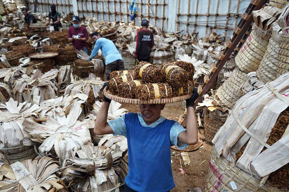 Sejumlah pekerja menata tembakau rajangan di gudang penyimpanan PT Gudang Garam Bulu, Temanggung, Jateng, Selasa (19/9/2023). ANTARA FOTO/Anis Efizudin