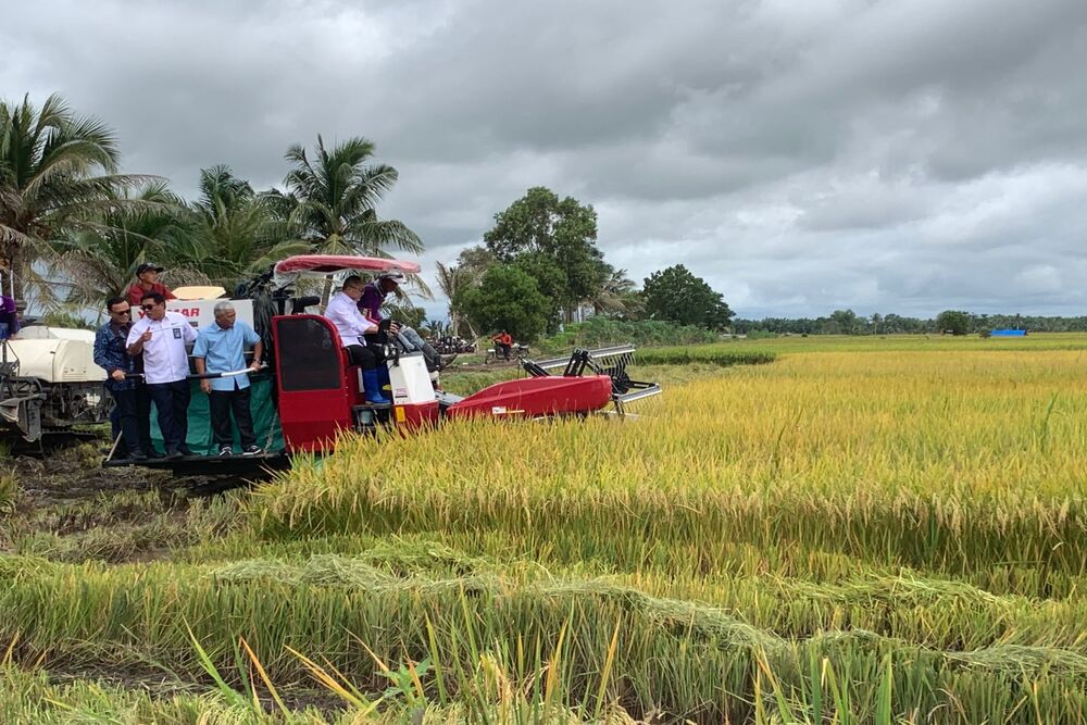  Jelang Panen Raya Sumsel, Zulhas Tegaskan HPP Baru Gabah Rp6.500 per Kg