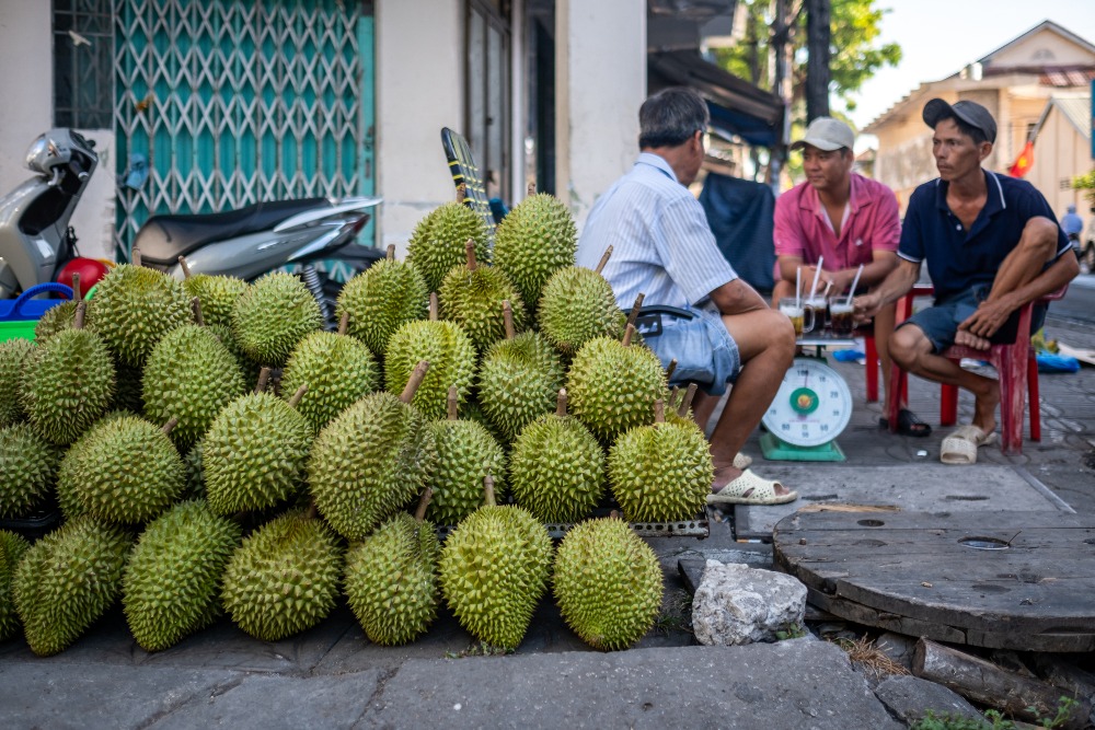  RI Kalah, Vietnam Jadi 'Raja' Durian Baru di Dunia