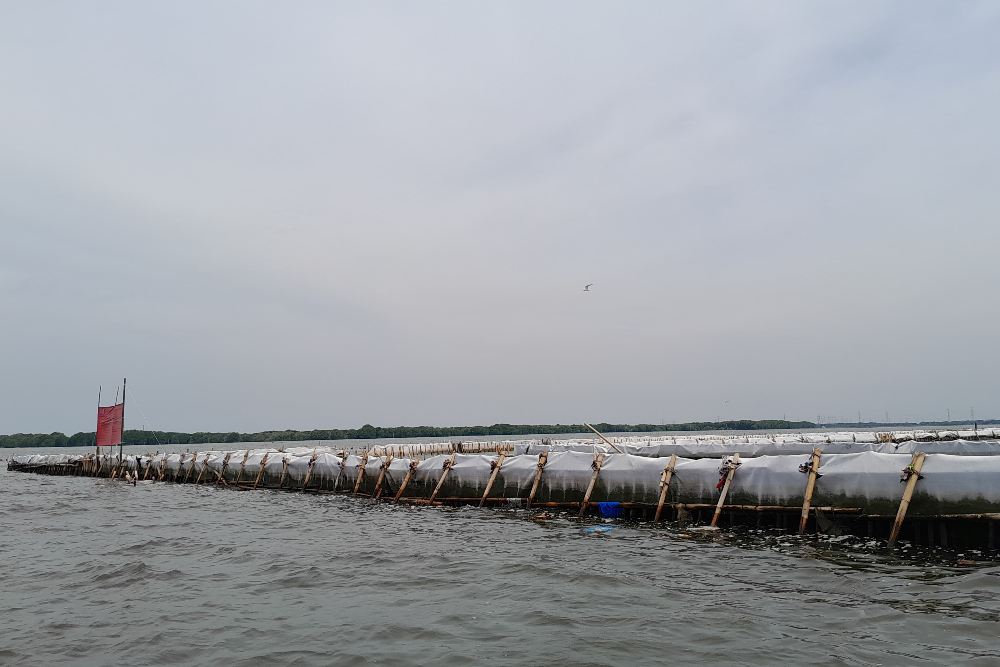  DKP Jabar Tegaskan Pagar Laut di Bekasi Beda Kasus dengan Tangerang