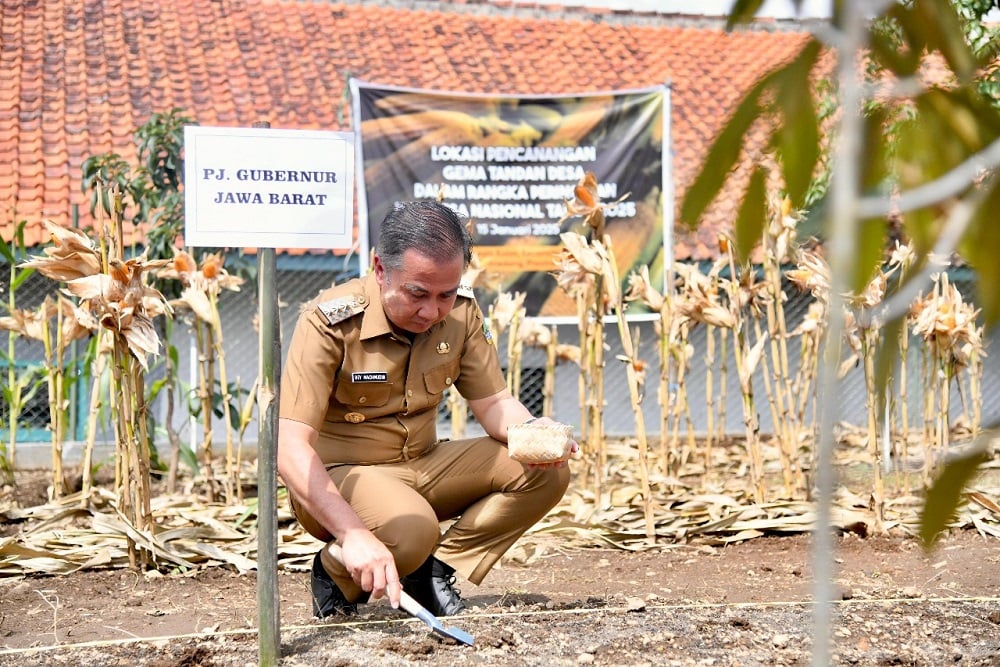  Bey Machmudin Dorong Desa Jadi Sumber Utama Ketahanan Pangan