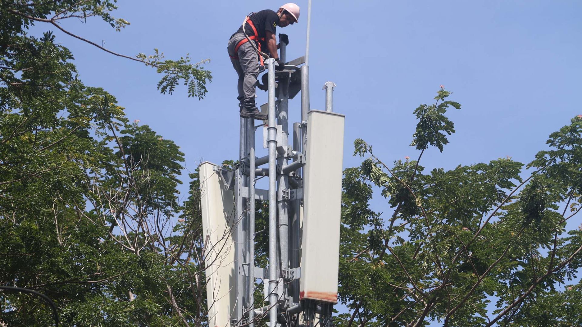  Perbandingan Bisnis Fiber Optik TOWR vs MTEL