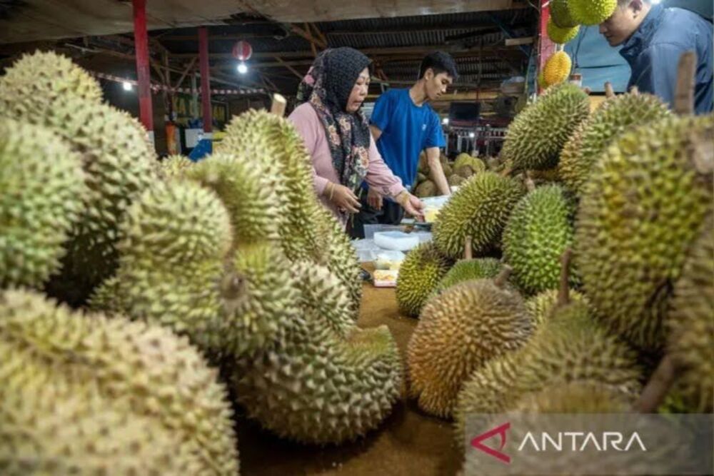  Ekspor Durian Sulteng, 3.056 Hektare Lahan Teregistrasi