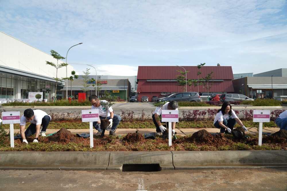 Penanaman pohon di area parkir Eastvara BSD City. /istimewa