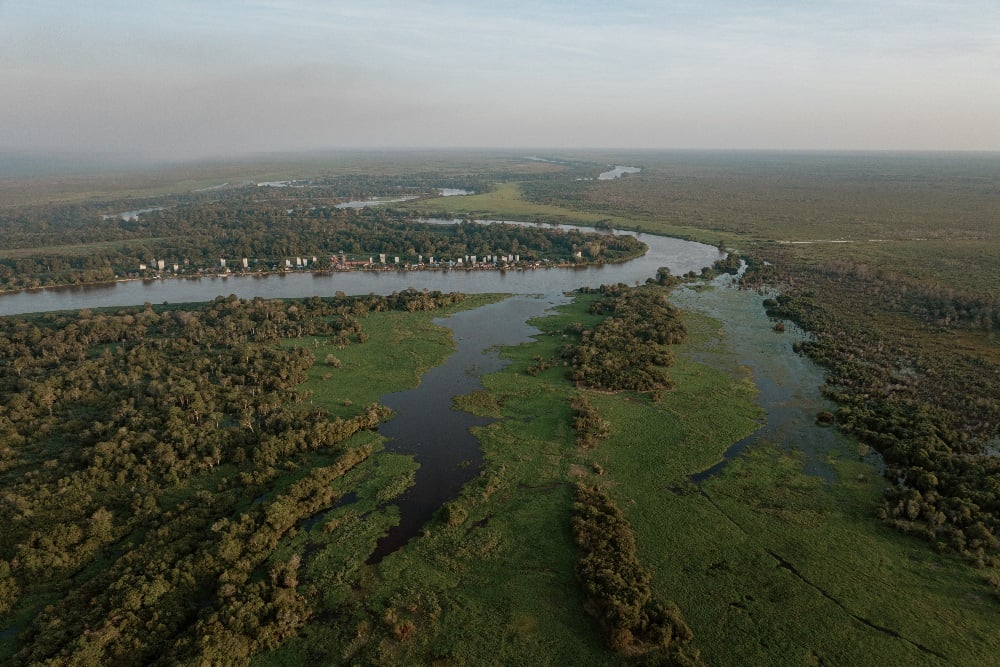 Lahan gambut di Muara Dua, Kalimantan Tengah. Kawasan Rimba Raya telah menyediakan offset karbon untuk perusahaan yang ingin mengurangi emisinya./Bloomberg-Muhammad Fadli