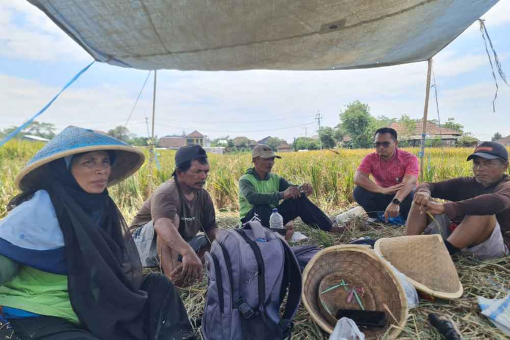  Dukung Program Kemandirian Pangan, Bulog Malang Mulai Serap Beras Petani