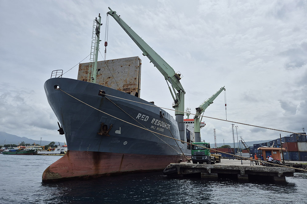  Rekor! Maumere Ekspor Perdana Kelapa Kupas Langsung ke Luar Negeri