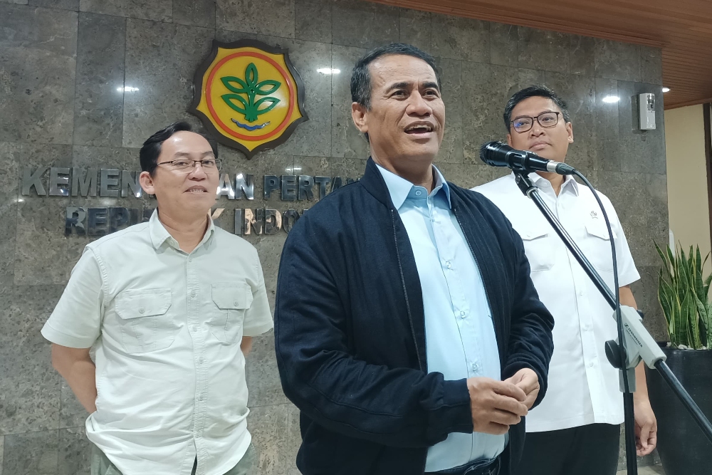  Mentan Amran Janjikan Beragam Insentif Demi Tarik Investor Vietnam