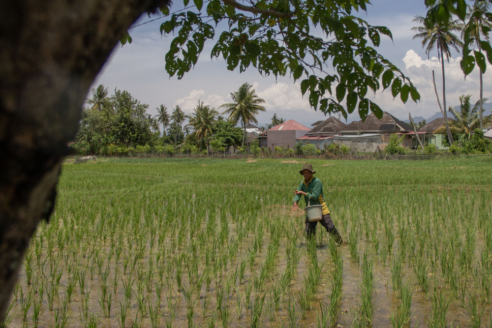  Asa Petani Mengolah Lahan yang Tersisa dari Kepungan Bangunan Perumahan Baru