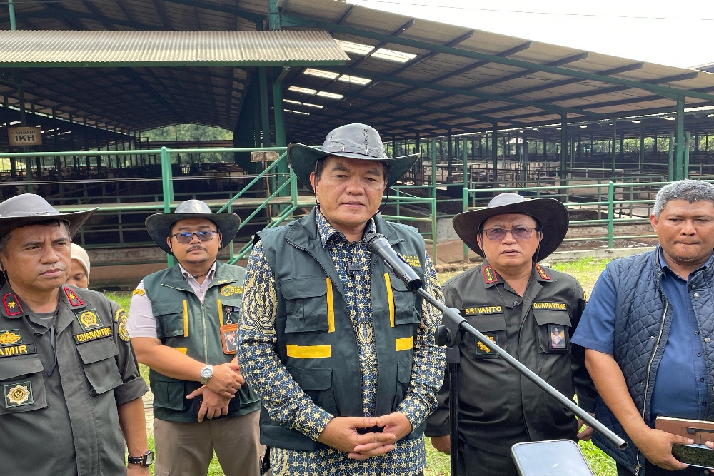  Barantin Pastikan 4.100 Ekor Sapi Impor Siap Dijual