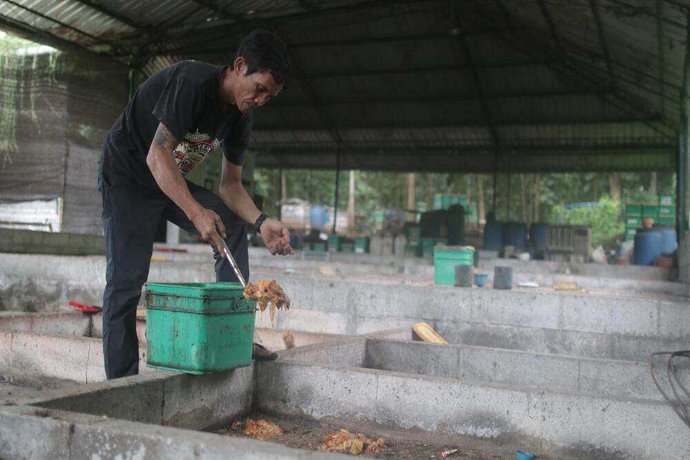  Merdeka Copper Gold Gandeng Warga Lokal Kelola Sampah Domestik