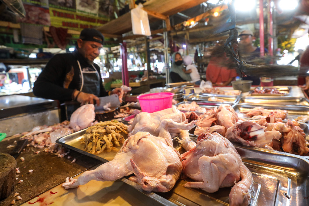  Memasuki Bulan Ramadan, Harga Daging Ayam Potong Alami Kenaikan Yang Siginifikan