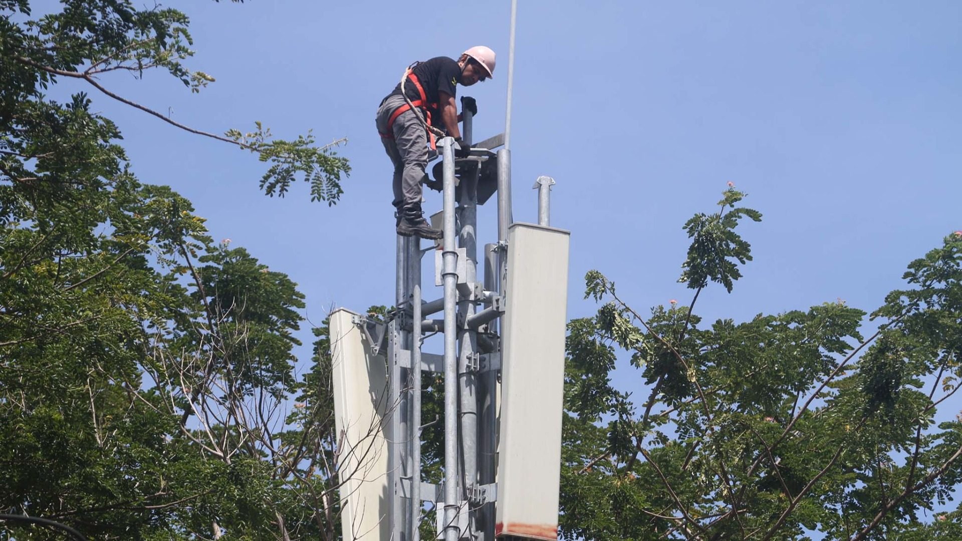 Teknisi mengecek perangkat di tower monopole milik operator telepon selular di Makassar, Sulawesi Selatan, Selasa (19/11/2024)./Bisnis/Paulus Tandi Bone